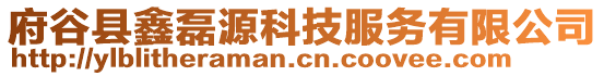 府谷縣鑫磊源科技服務有限公司