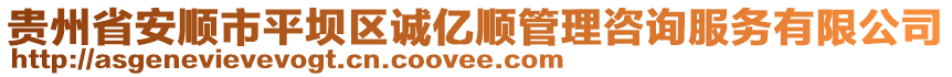 貴州省安順市平壩區(qū)誠(chéng)億順管理咨詢服務(wù)有限公司
