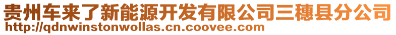 貴州車來(lái)了新能源開(kāi)發(fā)有限公司三穗縣分公司