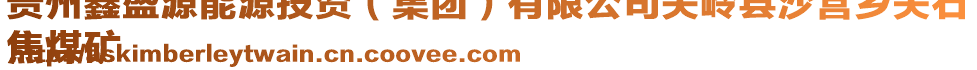 貴州鑫盛源能源投資（集團）有限公司關(guān)嶺縣沙營鄉(xiāng)關(guān)石
焦煤礦