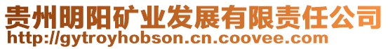 貴州明陽礦業發展有限責任公司
