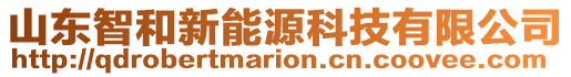 山東智和新能源科技有限公司