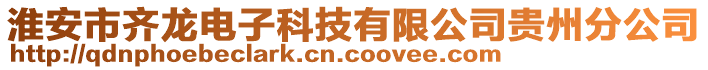 淮安市齊龍電子科技有限公司貴州分公司