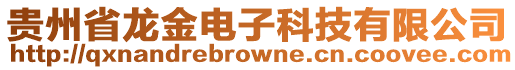 貴州省龍金電子科技有限公司