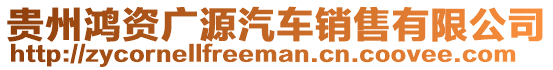 貴州鴻資廣源汽車銷售有限公司