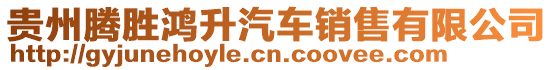 貴州騰勝鴻升汽車銷售有限公司