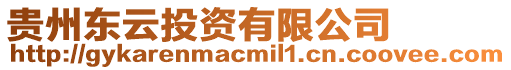 貴州東云投資有限公司