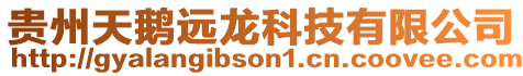 貴州天鵝遠龍科技有限公司