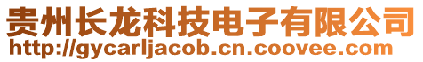 貴州長龍科技電子有限公司