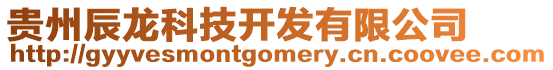 貴州辰龍科技開發有限公司