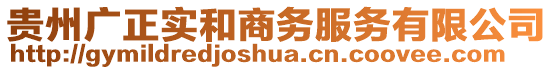 貴州廣正實(shí)和商務(wù)服務(wù)有限公司