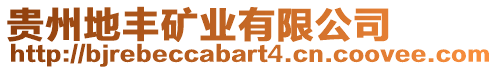 貴州地豐礦業(yè)有限公司