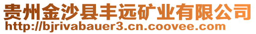 貴州金沙縣豐遠(yuǎn)礦業(yè)有限公司