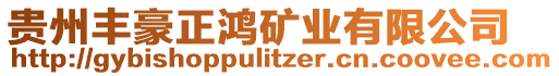 貴州豐豪正鴻礦業(yè)有限公司