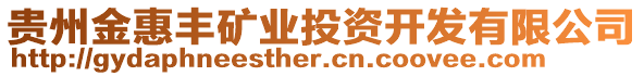 貴州金惠豐礦業(yè)投資開(kāi)發(fā)有限公司