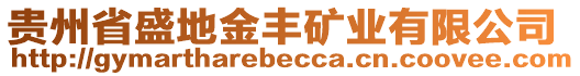 貴州省盛地金豐礦業(yè)有限公司