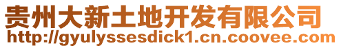貴州大新土地開(kāi)發(fā)有限公司