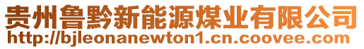 貴州魯黔新能源煤業(yè)有限公司