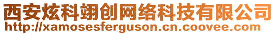 西安炫科翊創(chuàng)網(wǎng)絡(luò)科技有限公司