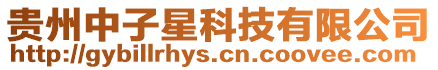 貴州中子星科技有限公司