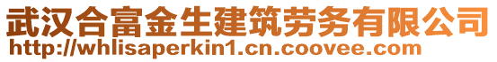 武漢合富金生建筑勞務(wù)有限公司