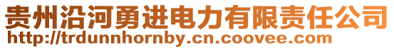 貴州沿河勇進電力有限責任公司