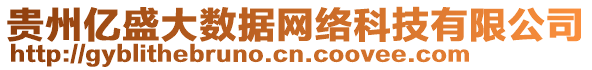 貴州億盛大數(shù)據(jù)網(wǎng)絡(luò)科技有限公司