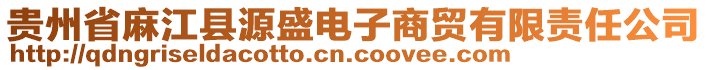 貴州省麻江縣源盛電子商貿(mào)有限責(zé)任公司