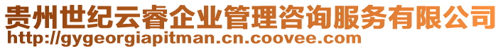 貴州世紀(jì)云睿企業(yè)管理咨詢服務(wù)有限公司