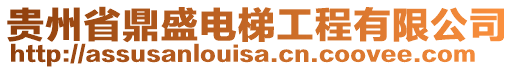 貴州省鼎盛電梯工程有限公司