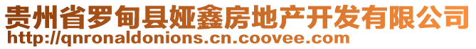 貴州省羅甸縣婭鑫房地產(chǎn)開(kāi)發(fā)有限公司