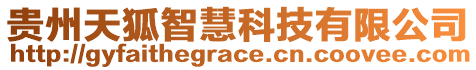 貴州天狐智慧科技有限公司