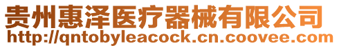貴州惠澤醫(yī)療器械有限公司