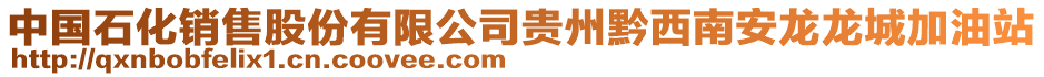 中國石化銷售股份有限公司貴州黔西南安龍龍城加油站