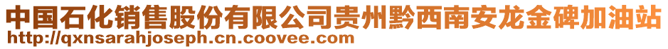 中國石化銷售股份有限公司貴州黔西南安龍金碑加油站