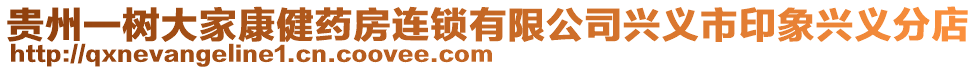 貴州一樹大家康健藥房連鎖有限公司興義市印象興義分店