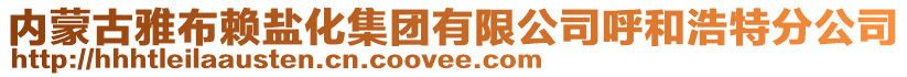 內(nèi)蒙古雅布賴鹽化集團有限公司呼和浩特分公司