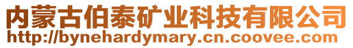 內(nèi)蒙古伯泰礦業(yè)科技有限公司