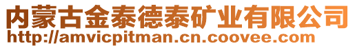 內(nèi)蒙古金泰德泰礦業(yè)有限公司