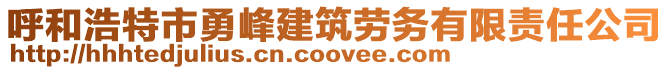 呼和浩特市勇峰建筑勞務(wù)有限責任公司