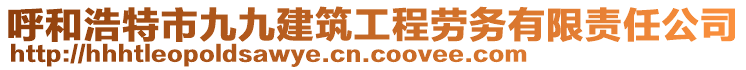 呼和浩特市九九建筑工程勞務(wù)有限責(zé)任公司