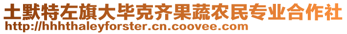 土默特左旗大畢克齊果蔬農(nóng)民專(zhuān)業(yè)合作社