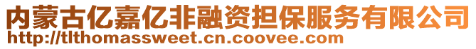 內蒙古億嘉億非融資擔保服務有限公司