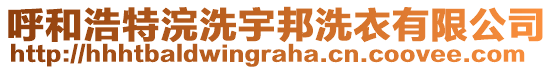 呼和浩特浣洗宇邦洗衣有限公司