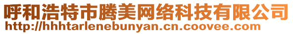 呼和浩特市騰美網絡科技有限公司