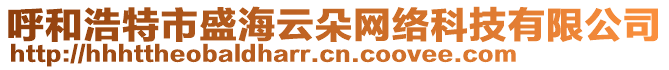 呼和浩特市盛海云朵網(wǎng)絡(luò)科技有限公司