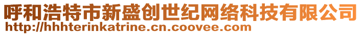 呼和浩特市新盛創(chuàng)世紀(jì)網(wǎng)絡(luò)科技有限公司