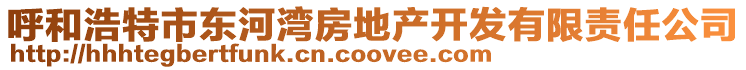 呼和浩特市東河灣房地產開發(fā)有限責任公司