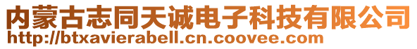 內(nèi)蒙古志同天誠電子科技有限公司