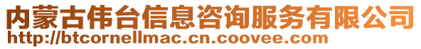 内蒙古伟台信息咨询服务有限公司